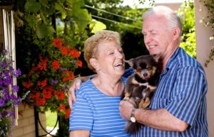 シニアのペットライフの実態。夫より犬との時間が大切と答えた妻が約2割